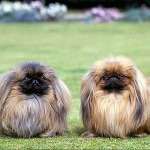 Meet your Posher, Erika